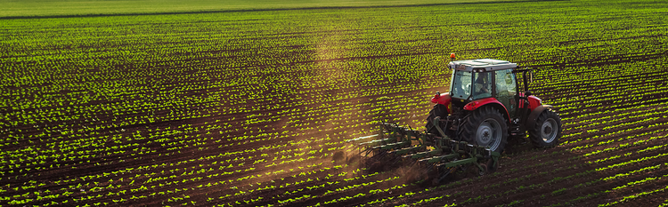 regional-agricultural-supply-cooperative