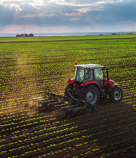 regional-agricultural-supply-cooperative