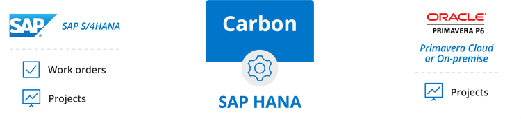 carbon-diagram-transparent-2048x471